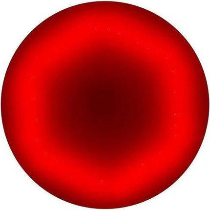 Smart Deckenleuchte Timer Dimmbar Ø30cm Smart 16 Millionen Lichtfarben