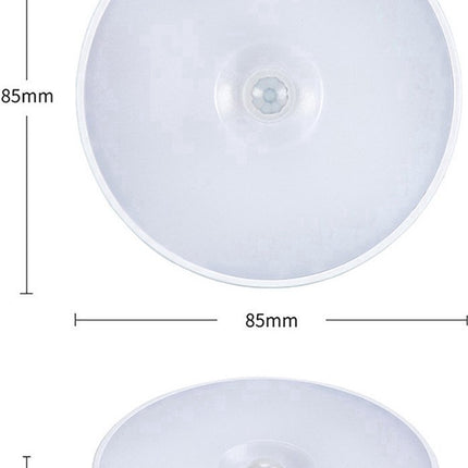 Nachtlampje Op Batterijen Met Beweginssensor Kastverlichting Trapverlichting Wit